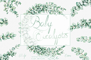 Baby Eucalyptus Illustration, a Decorative Illustration by DioFlow (Thumbnail 1 of 6)
