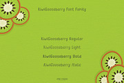 Kiwi Gooseberry Font Family, a Font by LTNG STUDIO (Thumbnail 4 of 9)