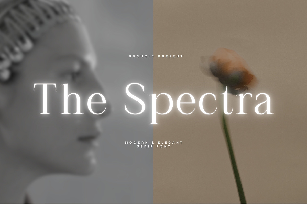 The Spectra - Modern & Elegant Serif, a Serif Font by Almeera Std (Photo 1 of 8)