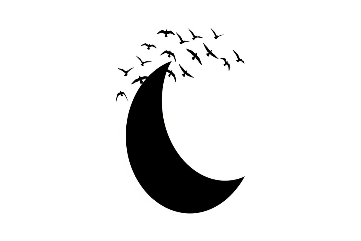 Flying Birds Moon SVG Bundle, an Illustration by yasushie (Photo 4 of 31)