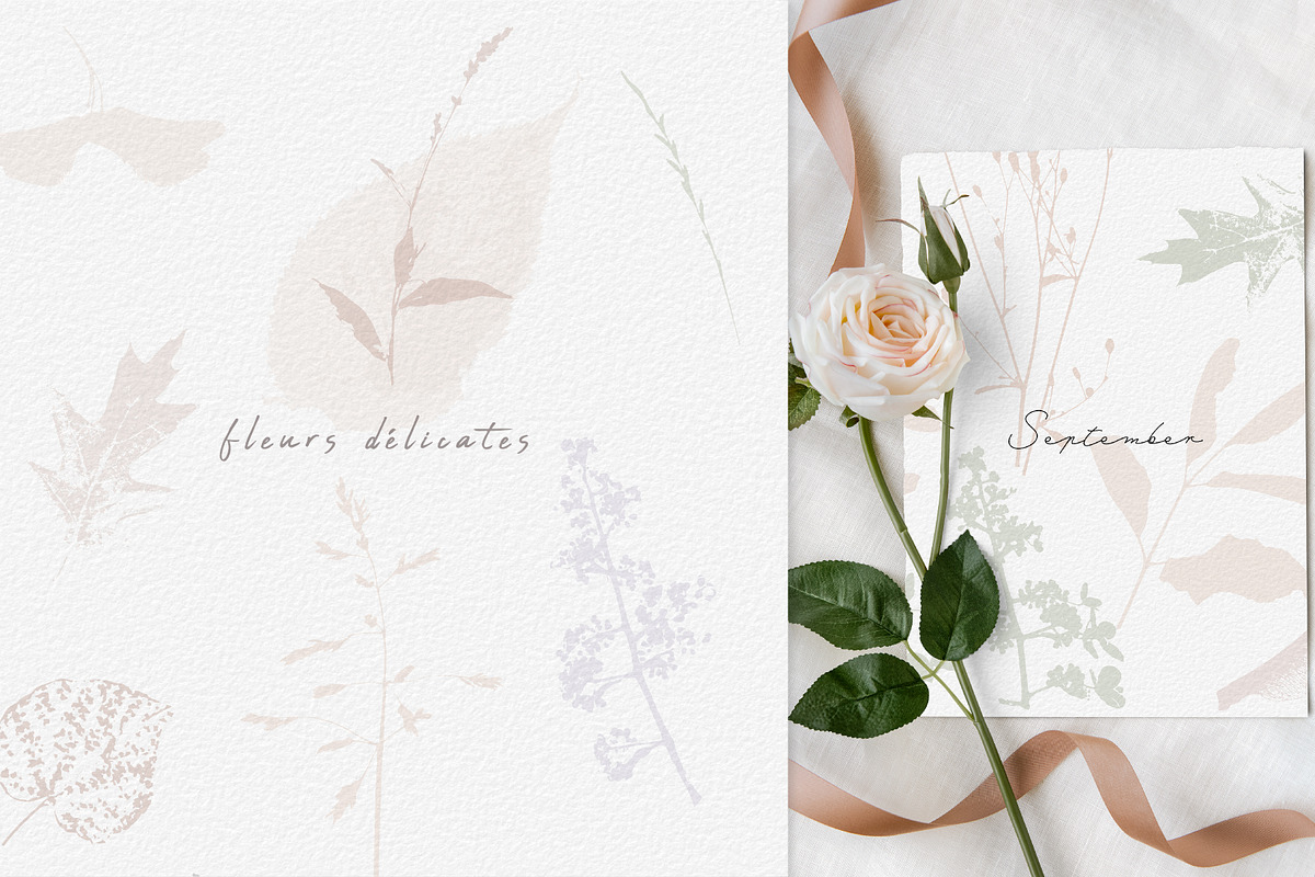 BUNDLE Floral watercolor paper, a Texture Illustration by Anna Sokol (Photo 64 of 71)