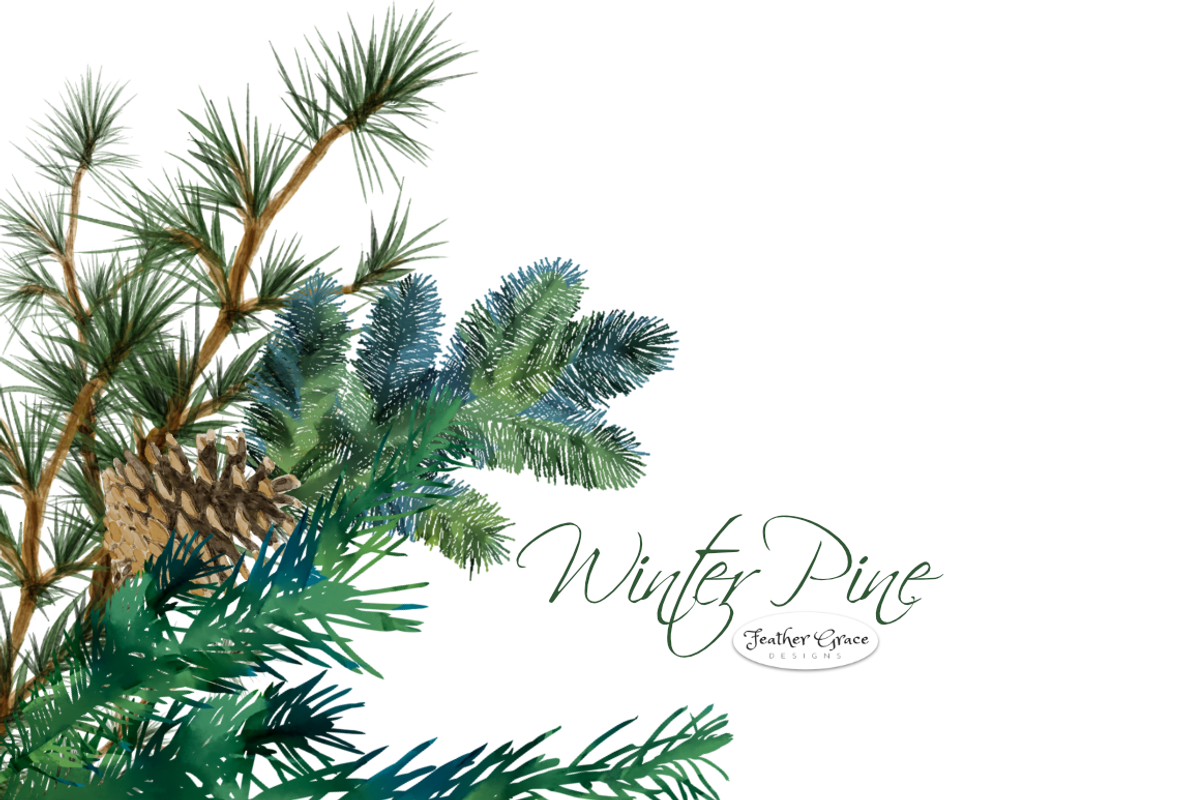 Pine Branches & Wreaths, an Illustration by Feather Grace Designs (Photo 2 of 13)