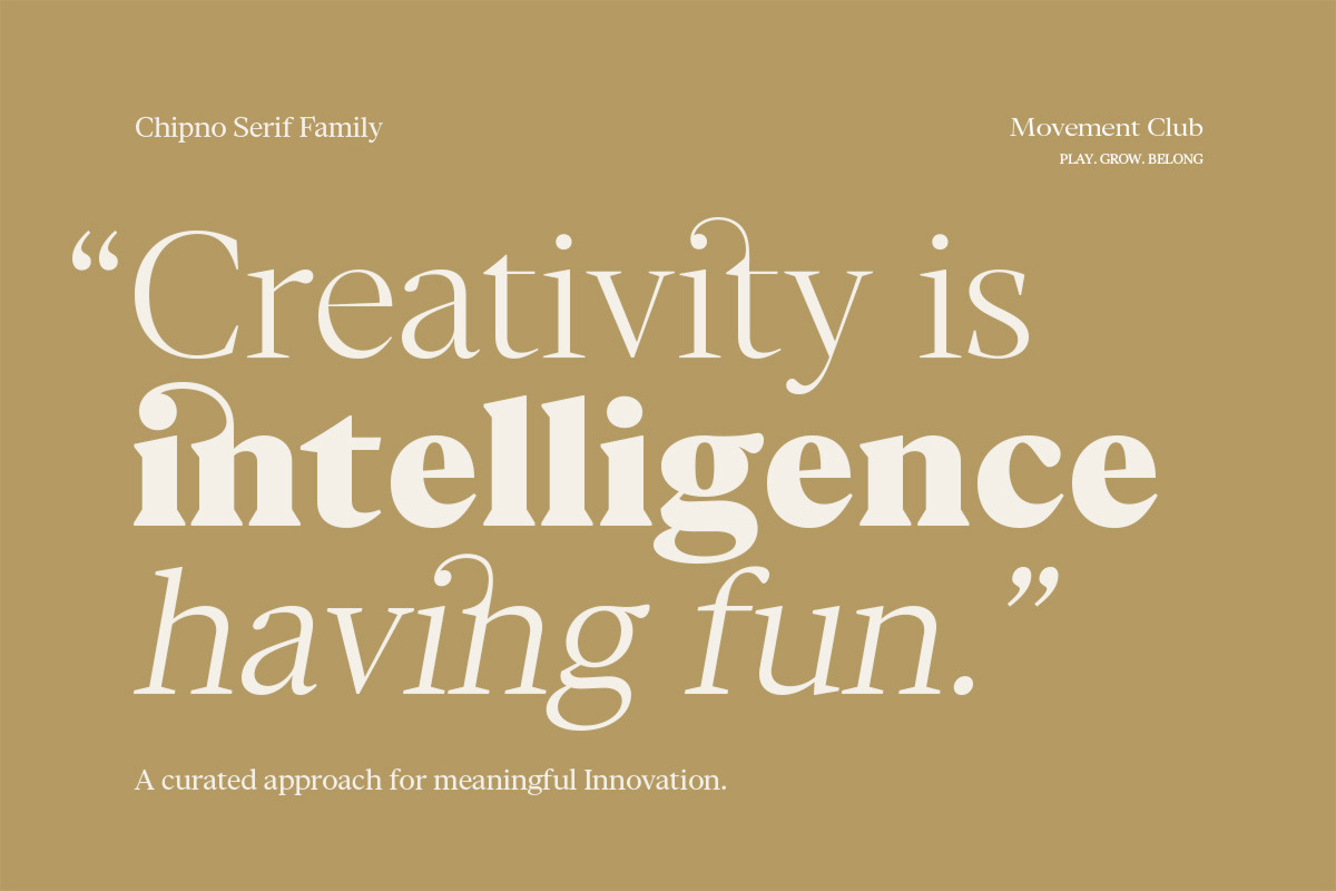 Chipno, a Serif Font by Attract Studio (Photo 6 of 16)