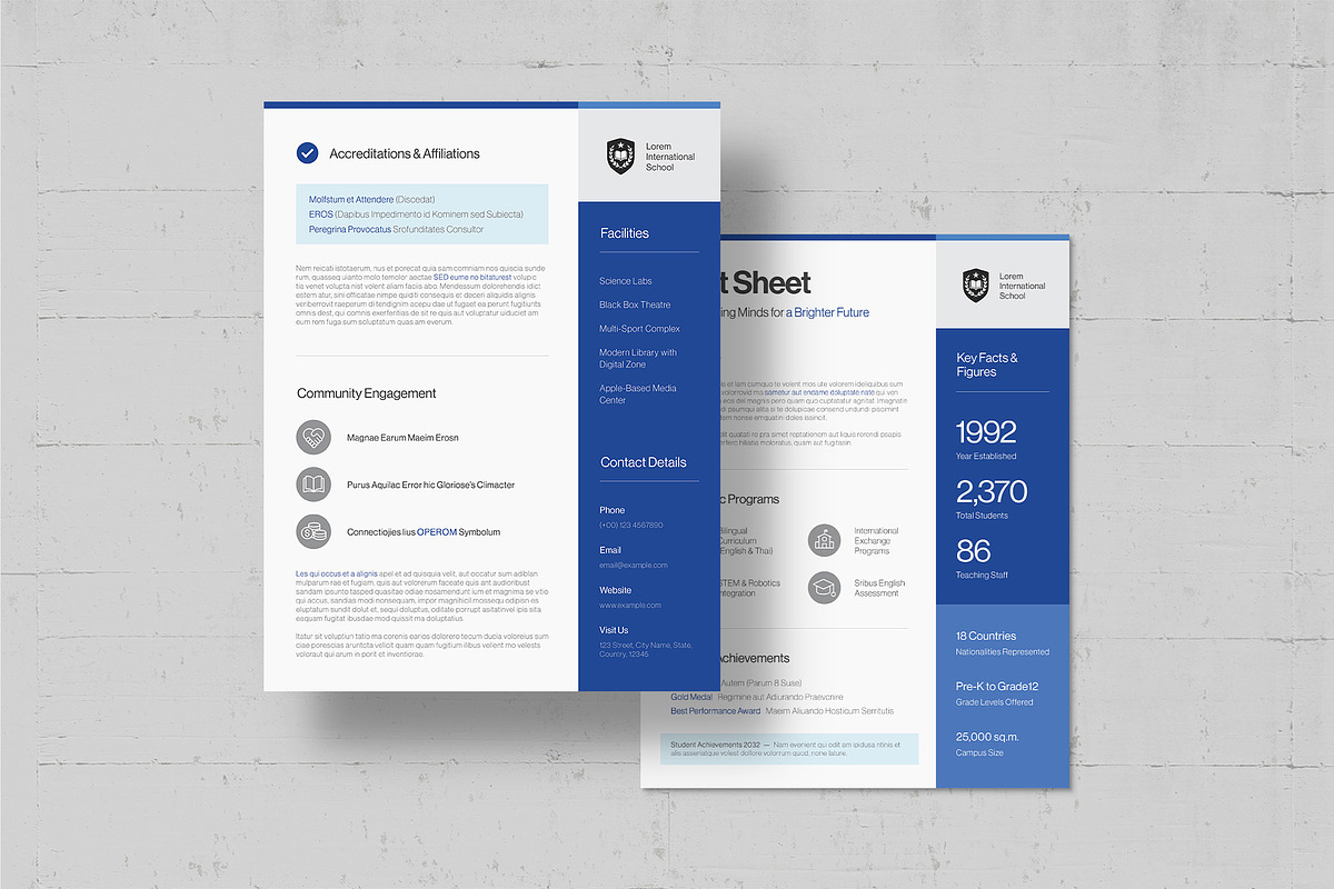 Fact Sheet Template, a Flyer Template by BrandPacks