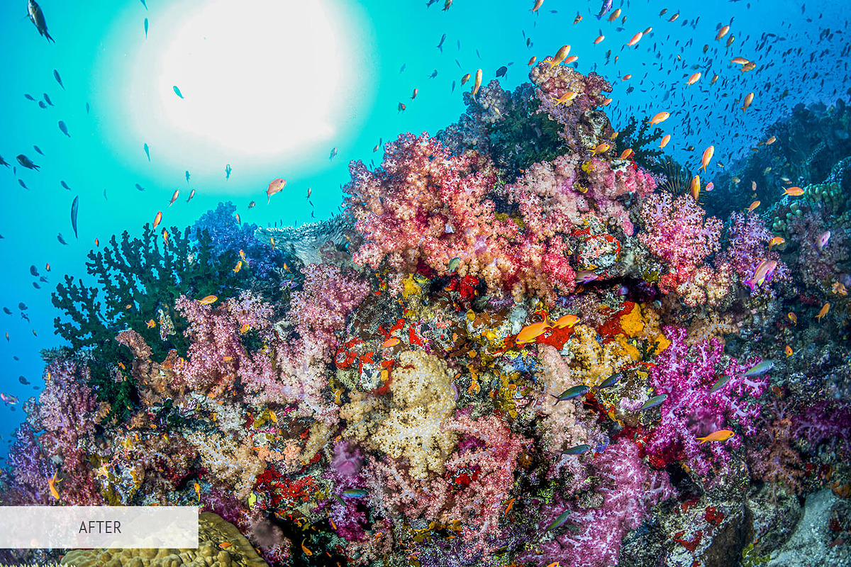 Underwater Photography Presets, a Plug-in Add-On by FixThePhoto (Photo 19 of 32)