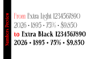 Dorevant, a Serif Font by artisans (Thumbnail 6 of 8)