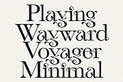 The Modern Font Bundle Vol.5 80% OFF, a Sans Serif Font by Tropical Type (Thumbnail 25 of 43)