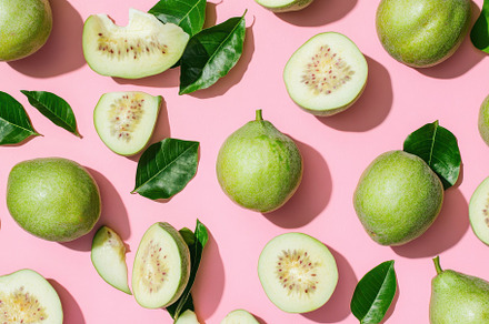 Fresh guavas on pink background with, a Photo by Iftikhar Alam