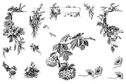 Procreate Botanical Collection, a Brush Add-On by AW Studios (Thumbnail 4 of 6)