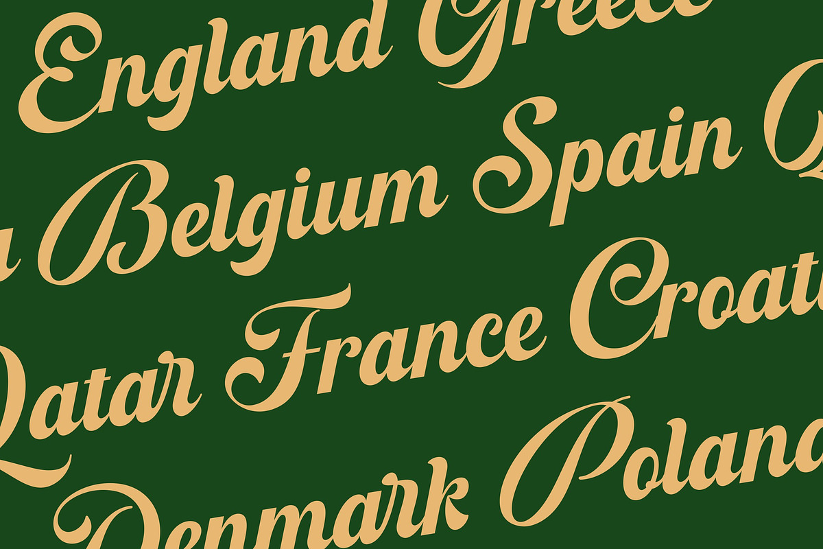 Blagkine - Bold Script, a Script Font by ErgibiStudio (Photo 9 of 11)