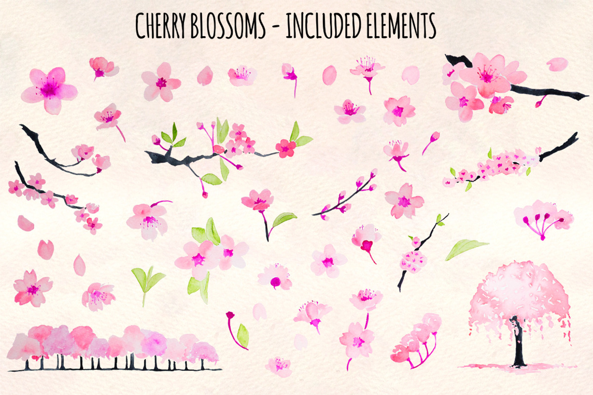 Cherry Blossoms 46 Hand Watercolors, a Seasonal Illustration by Violet LeBeaux (Photo 2 of 3)