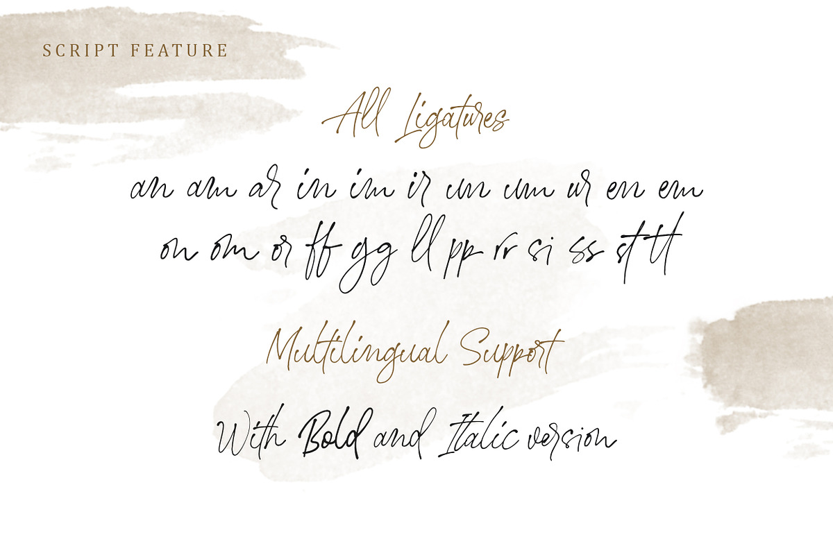 Stephen & Gillion - Signature Script preview 6