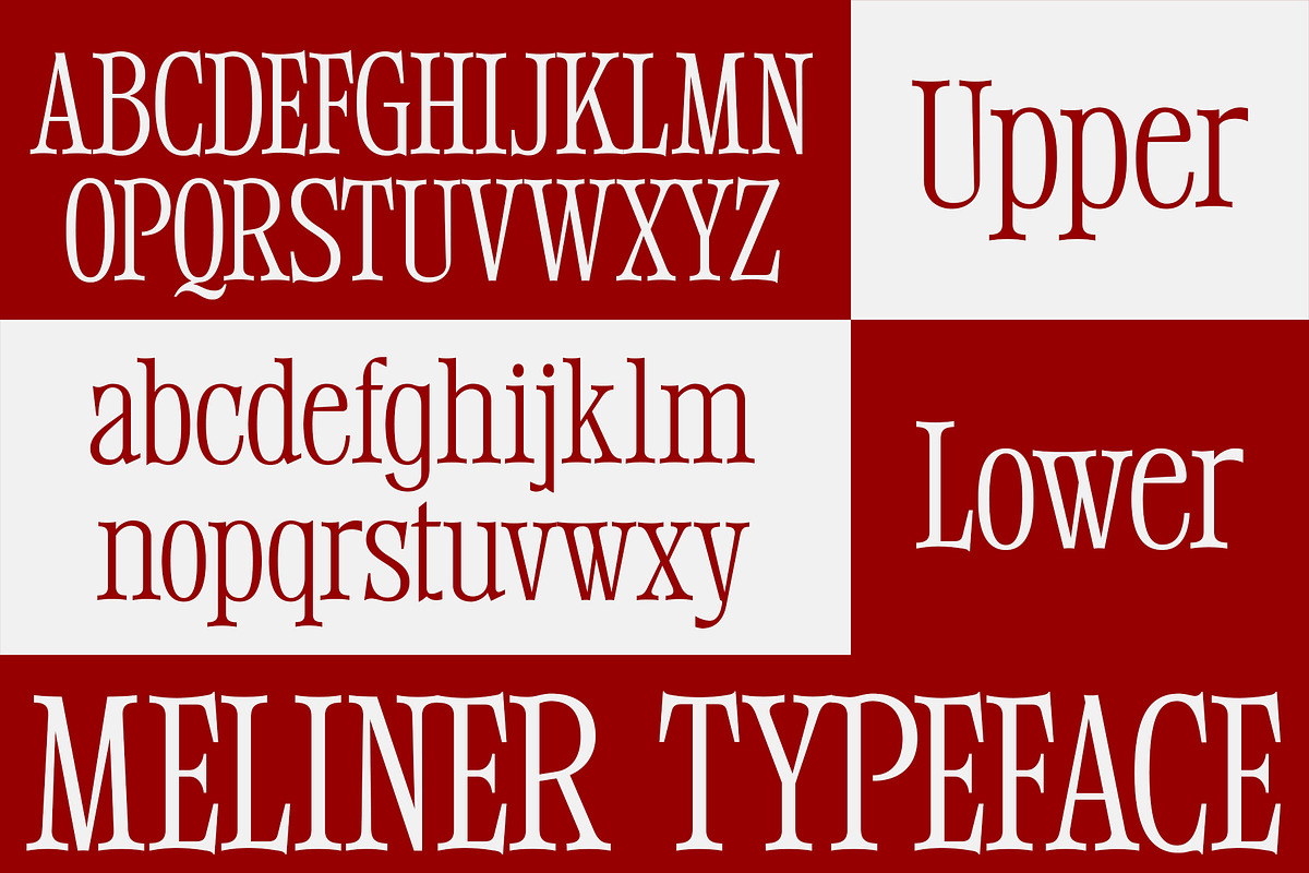 Meliner, a Serif Font by Dora Typefoundry (Photo 3 of 12)