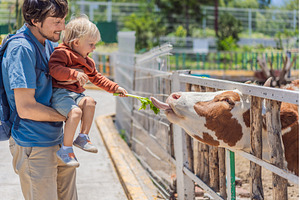Father and his young son feeding a, an Animal Photo by Elizaveta Galitskaya