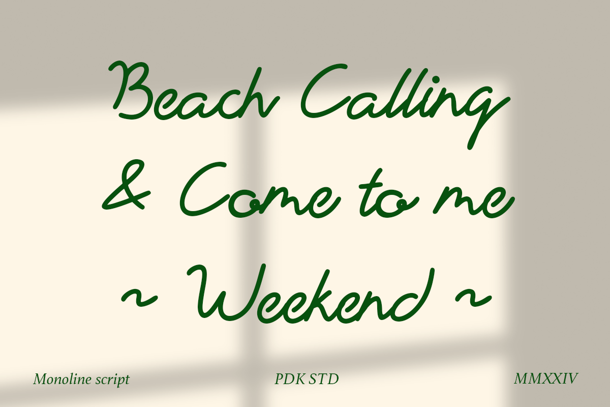 Vignetta - Casual Script Monoline, a Script Font by Pandeka Studio (Photo 3 of 9)