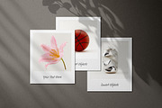 Polaroid Frame Mockups Collection, a Product Mockup by pixelbuddha.net (Thumbnail 6 of 13)