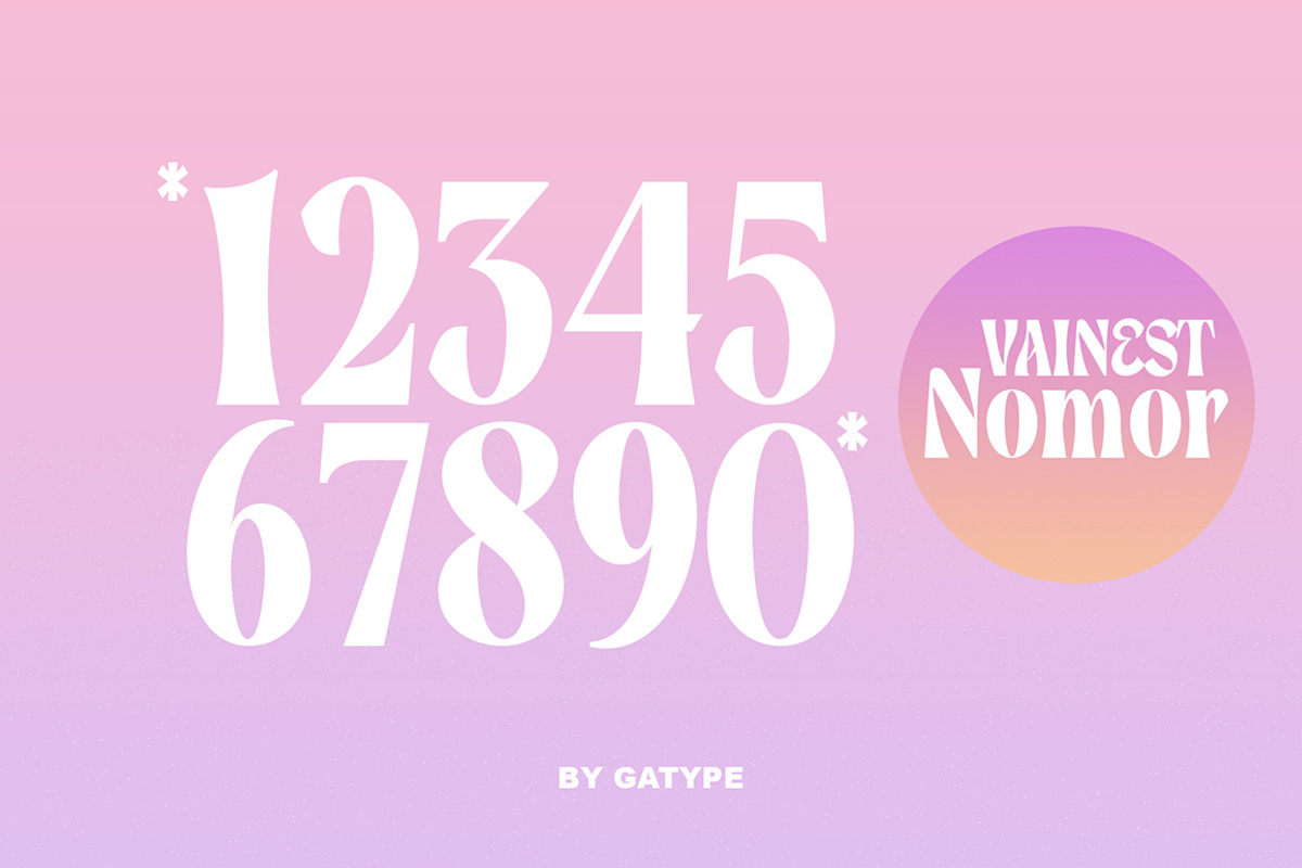 Vainest, a Serif Font by Gatype (Photo 6 of 9)