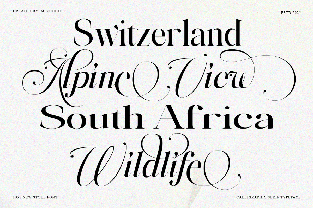 Megivia Calligraphyc Serif | 6 Fonts, a Serif Font by IM Studio (Photo 4 of 12)