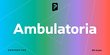 Ambulatoria B