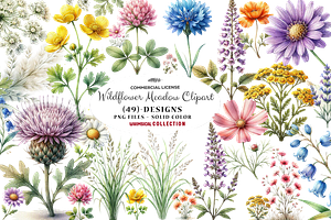 Wildflower Meadow Clipart Set