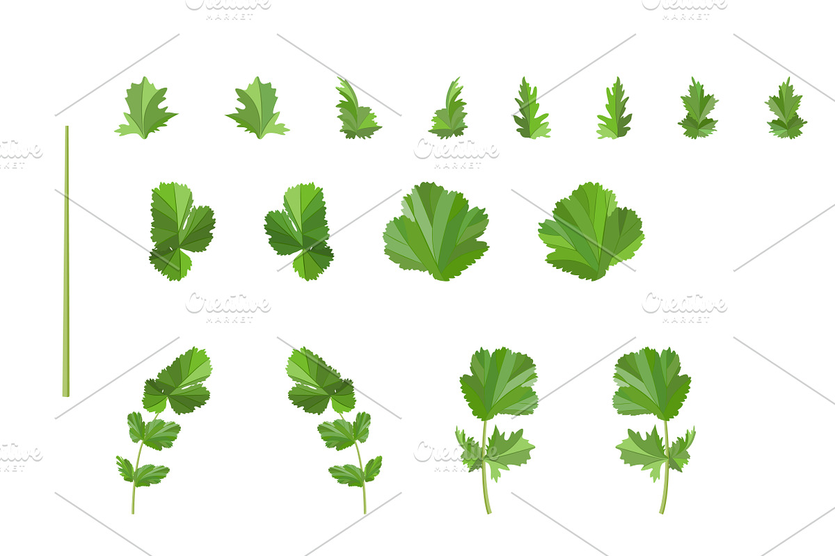Vector object brushes. Geum. preview 4