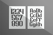 Briesa - Modern Elegant Display Font, a Font by Mily Studio (Thumbnail 6 of 15)