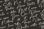 Cathelink a Handwritten Font, a Handwritten Font by Basnistudio (Thumbnail 5 of 12)
