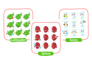 Cute human organs set, a Food Illustration by Slavko Kahovsky (Thumbnail 6 of 9)