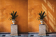 Light & Shadow Overlay Images, a Texture Graphic by Bouchard Designs (Thumbnail 8 of 8)