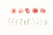 French roses with butterflies, a Decorative Illustration by AnnelyBlooms (Thumbnail 8 of 8)