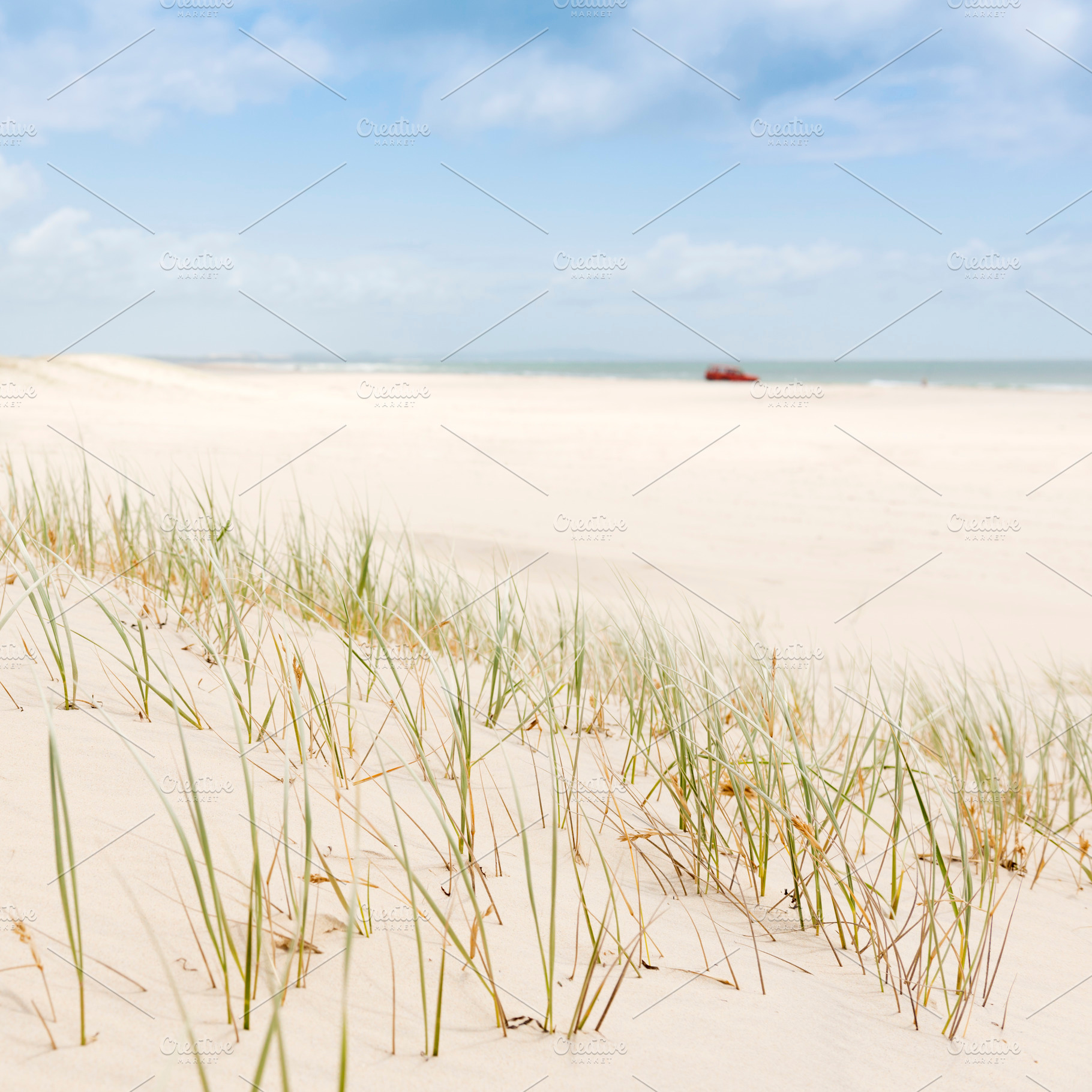 Beach Grass with 4WD, a Nature Photo by THP Creative