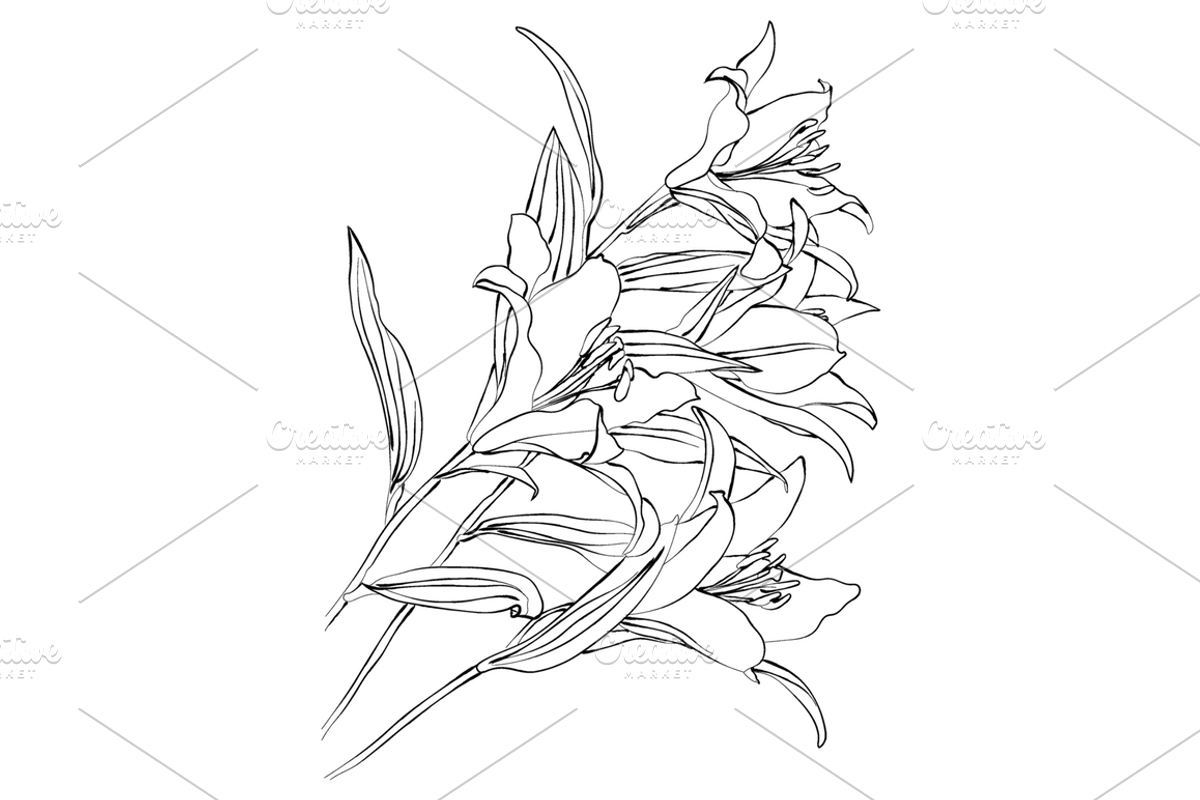 Lilies and Lotus Florals, an Object Graphic by VictoriaKStudio (Photo 8 of 10)