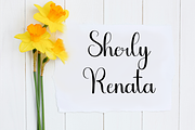 Dandelion, a Handwritten Font by FreshTypeINK (Thumbnail 6 of 8)