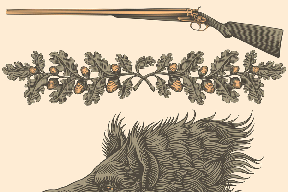 Design set Boar. Vector engraving, an Animal Illustration by Vector Engraving (Photo 5 of 7)