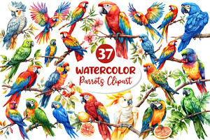 Parrots Watercolor Clipart,, an Illustration by Dream Creation
