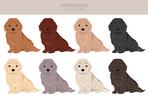 Labradoodle Clipart