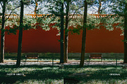 Fuji FP 100C IV, a Preset Add-On by colorituals (Thumbnail 7 of 9)