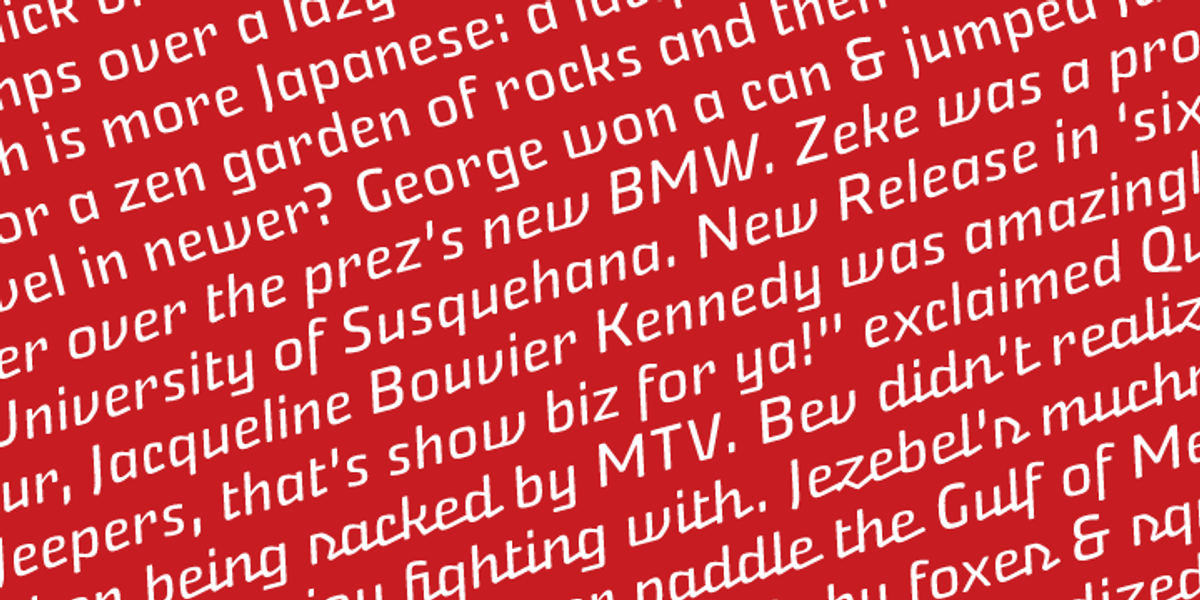 Nikaia, a Sans Serif Font by Miller Type Foundry (Photo 3 of 3)