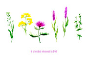 Watercolor summer herbal, an Illustration by Fresh-shop (Thumbnail 2 of 6)