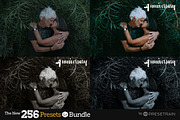 256 New Lightroom Preset Bundle, an Action Add-On by Presetrain Co. (Thumbnail 4 of 51)