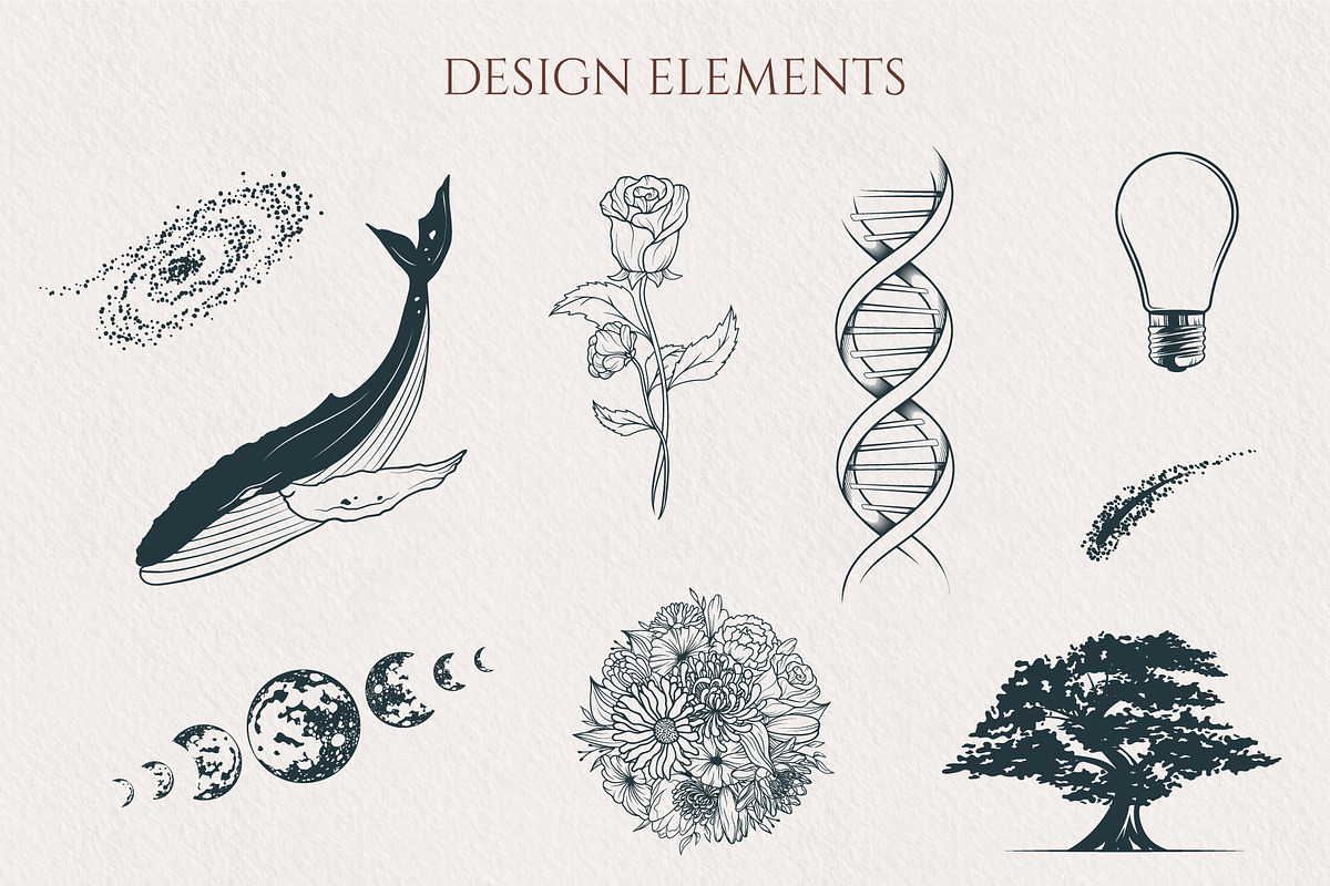 Handdrawn Celestial Space Collection, a Decorative Illustration by KirillsWorkshop (Photo 6 of 7)