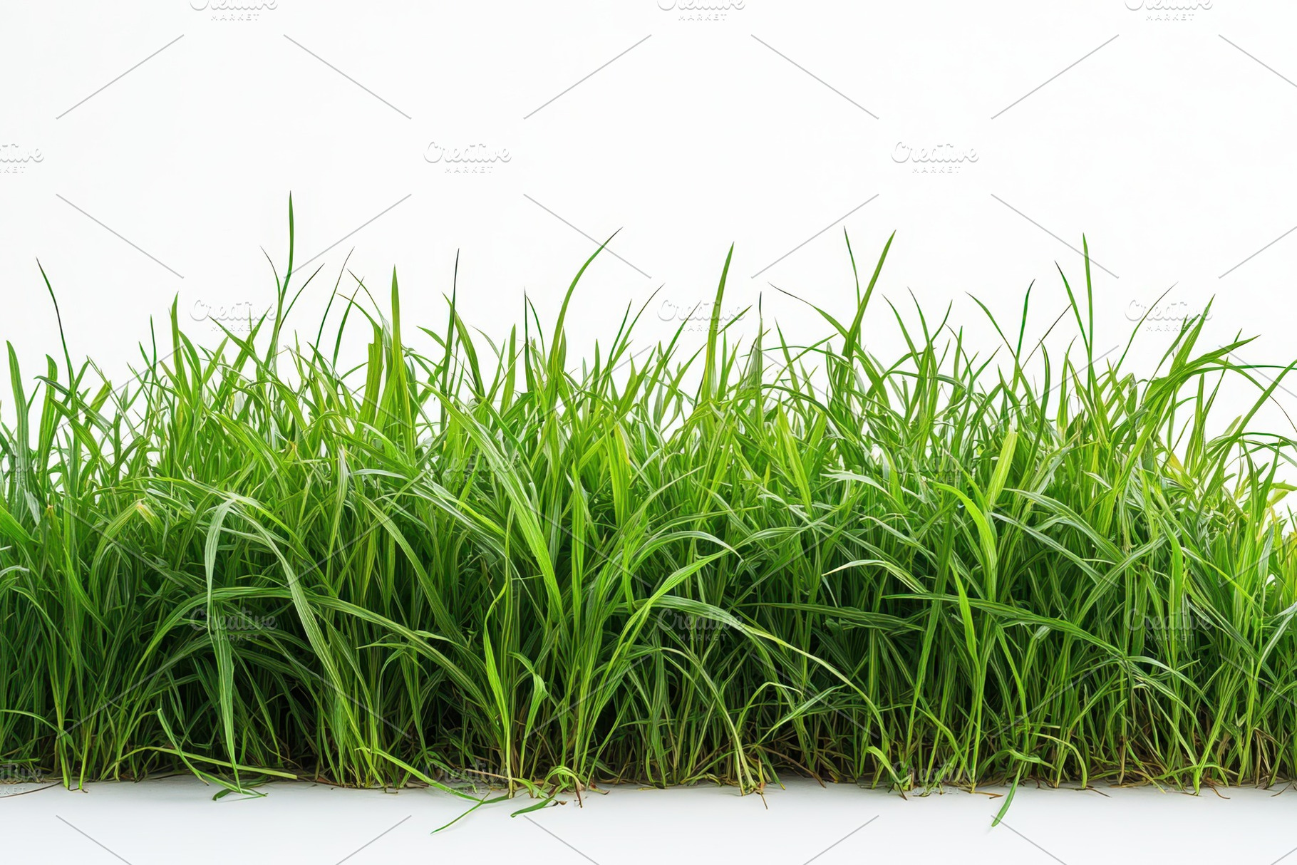 Lush green grass isolated on white b, a Photo by Pixeness Studio