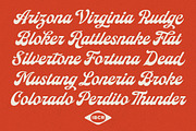 Alfondale - Vintage Script, a Script Font by IronbirdCreative (Thumbnail 5 of 9)