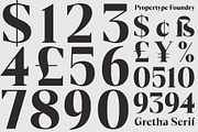 GrethaSerif, a Serif Font by Propertype (Thumbnail 13 of 14)