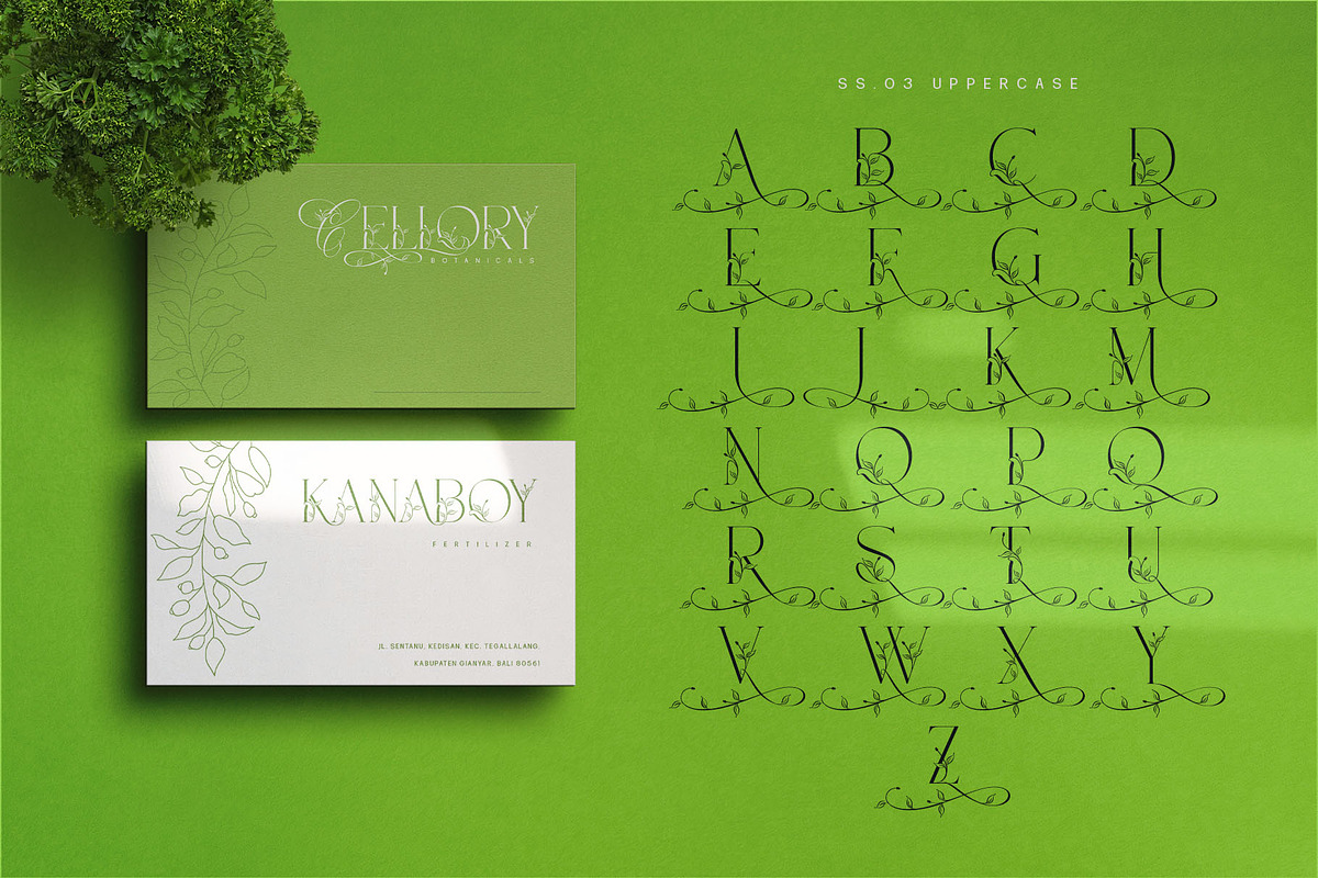 Narony Natural Typeface, a Sans Serif Font by alit design (Photo 17 of 20)