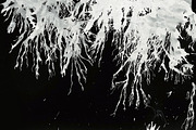 Ink backgrounds, a Texture Graphic by Little Fonts (Thumbnail 4 of 5)