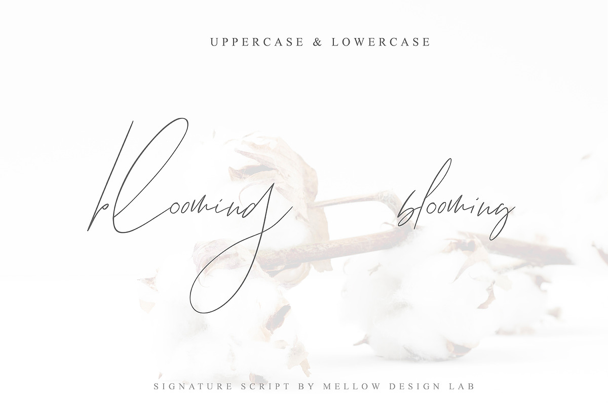 Juliet Kind Font DUO preview 4