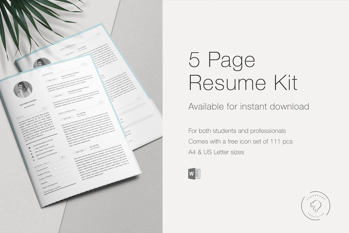 Resume Template for MS Word, 5 Pages, a Resume Template by Leo Resume (Photo 5 of 5)