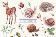FOREST WALK Watercolor set, an Illustration by Lemaris (Thumbnail 3 of 8)