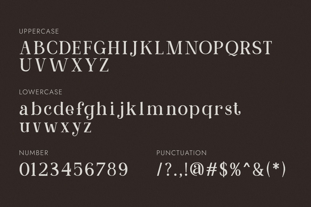 Aurellina Modern Elegant Serif, a Serif Font by Vadovastd (Photo 2 of 7)